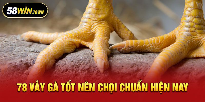  78 vảy gà tốt nên chọi những lý do cần biết