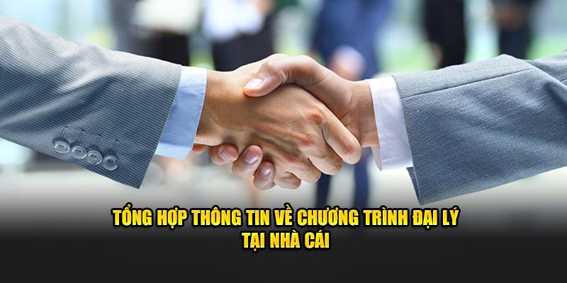 Những công việc cụ thể mà một đại lý phải làm là gì?